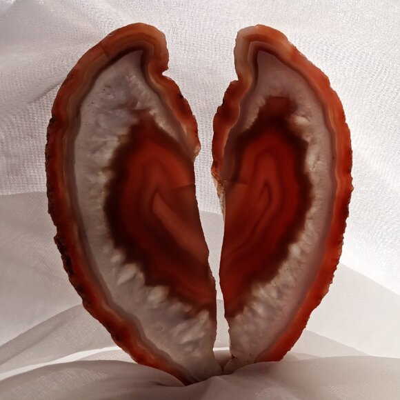 Swazi Agate Lapidary Art 2pc set Slice/Slab Specimens Natural Stone Not Polished - Picture 3 of 6